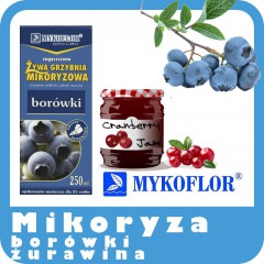 Mikoryza Borówki, Żurawiny-