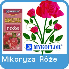 Mikoryza Róże-